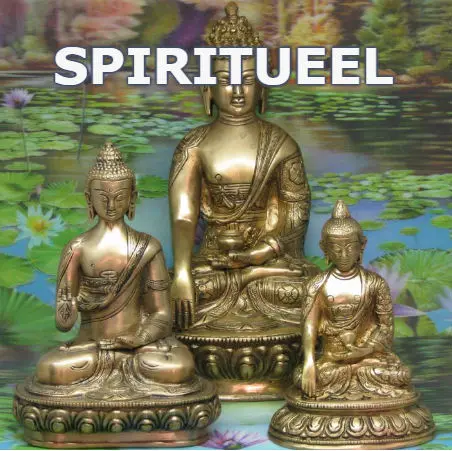 SPIRITUEEL SPIRITUEEL
